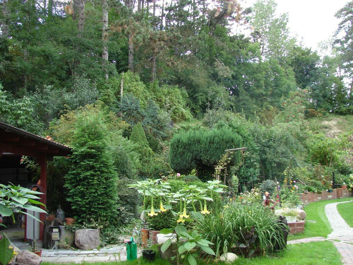 Villa Mielno-Eko 미엘노 외부 사진